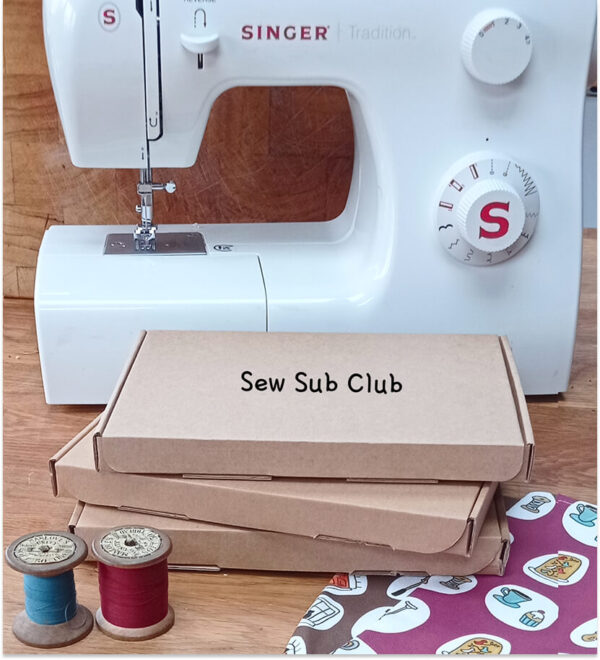 Learn how to sew online 2 hour course
